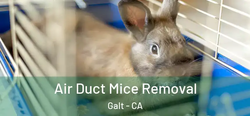 Air Duct Mice Removal Galt - CA