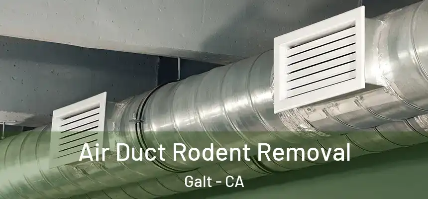 Air Duct Rodent Removal Galt - CA