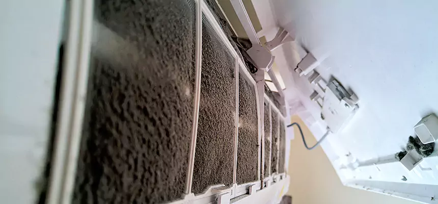 Preventive Air Duct Bacteria Removal in Galt