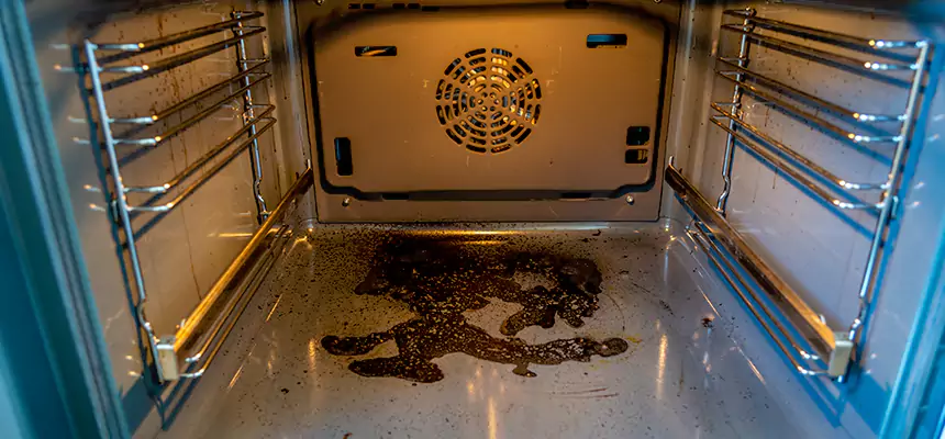 Our Dryer Vent Mold Cleaning Services in Galt, CA