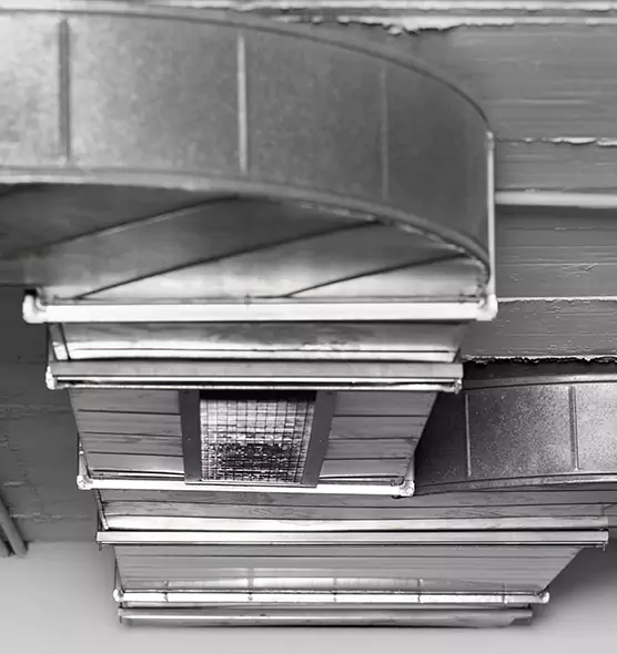 Professional Air Duct Pest Removal in Galt, CA