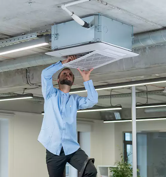 Advanced Rodent Droppings In Vents in Galt, CA