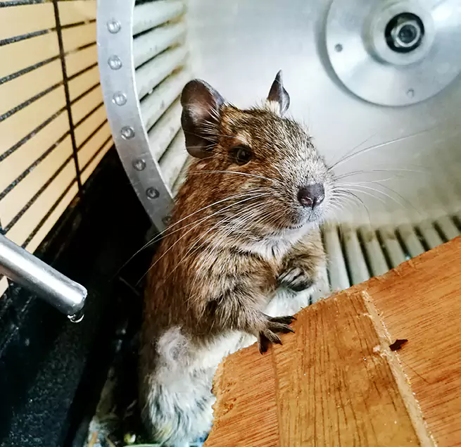 Why Homeowners & Businesses Trust Us Galt, CA?