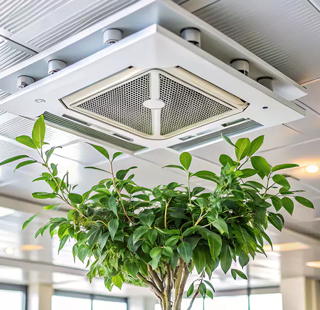 Why Homeowners & Businesses Trust Us in Galt, CA